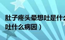 肚子疼头晕想吐是什么病（肚子痛头晕恶心想吐什么病因）