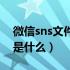 微信sns文件夹是什么文件（微信sns文件夹是什么）