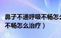 鼻子不通呼吸不畅怎么快速好（鼻子不通呼吸不畅怎么治疗）