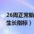 26周正常胎儿生长指标是多少（孕各周胎儿生长指标）