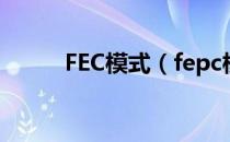 FEC模式（fepc模式是什么意思）