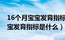 16个月宝宝发育指标标准是什么（16个月宝宝发育指标是什么）