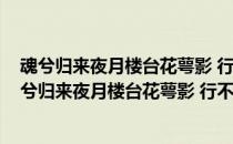 魂兮归来夜月楼台花萼影 行不得也楚天风雨鹧鸪声(关于魂兮归来夜月楼台花萼影 行不得也楚天风雨鹧鸪声简述)