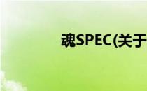 魂SPEC(关于魂SPEC简述)