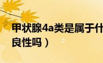 甲状腺4a类是属于什么情况（甲状腺4a类是良性吗）