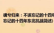 魂兮归来：不该忘记的十四年东北抗战(关于魂兮归来：不该忘记的十四年东北抗战简述)