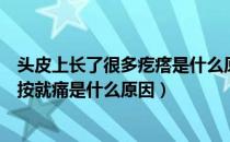 头皮上长了很多疙瘩是什么原因按上去痛（头皮上长疙瘩一按就痛是什么原因）