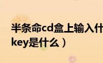 半条命cd盒上输入什么（半条命cd盒上的cdkey是什么）