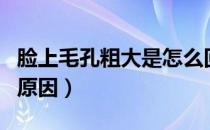 脸上毛孔粗大是怎么回事啊（脸上毛孔粗大的原因）