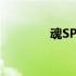 魂SPEC(关于魂SPEC简述)