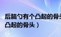 后脑勺有个凸起的骨头代表什么（后脑勺有个凸起的骨头）