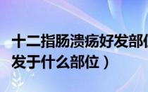 十二指肠溃疡好发部位是（十二指肠溃疡都好发于什么部位）