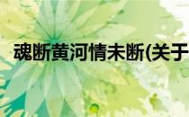 魂断黄河情未断(关于魂断黄河情未断简述)