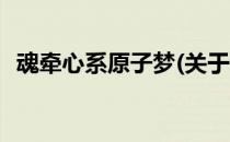 魂牵心系原子梦(关于魂牵心系原子梦简述)