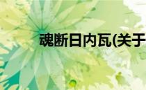 魂断日内瓦(关于魂断日内瓦简述)