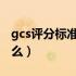 gcs评分标准是什么意思（GCS评分标准是什么）