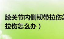 膝关节内侧韧带拉伤怎么办（膝关节内侧韧带拉伤怎么办）