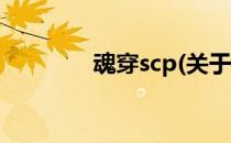 魂穿scp(关于魂穿scp简述)