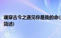 魂穿古今之遇见你是我的命(关于魂穿古今之遇见你是我的命简述)