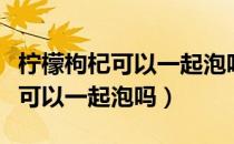 柠檬枸杞可以一起泡吗有什么作用（柠檬枸杞可以一起泡吗）