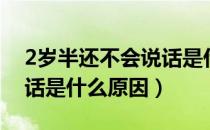 2岁半还不会说话是什么原因（2岁半不会说话是什么原因）