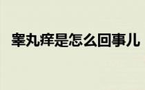 睾丸痒是怎么回事儿（睾丸痒是什么情况）