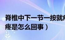 脊椎中下一节一按就疼（脊椎中间一节一按就疼是怎么回事）