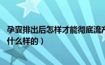 孕囊排出后怎样才能彻底流产干净（40天流产排出的孕囊是什么样的）