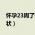 怀孕23周了有什么症状（怀孕23周有什么症状）