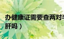 办健康证需要查两对半吗（办健康证需要查乙肝吗）