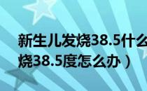 新生儿发烧38.5什么情况引起的（新生儿发烧38.5度怎么办）