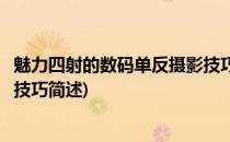 魅力四射的数码单反摄影技巧(关于魅力四射的数码单反摄影技巧简述)