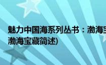 魅力中国海系列丛书：渤海宝藏(关于魅力中国海系列丛书：渤海宝藏简述)