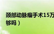 颈部动脉瘤手术15万（颈部动脉瘤手术15万够吗）