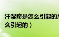 汗湿疹是怎么引起的用什么药膏（汗湿疹是怎么引起的）