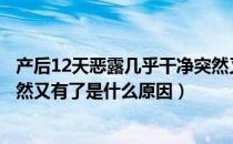 产后12天恶露几乎干净突然又出血（产后恶露干净了几天突然又有了是什么原因）