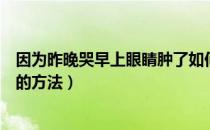 因为昨晚哭早上眼睛肿了如何消肿（早上眼睛肿了快速消肿的方法）