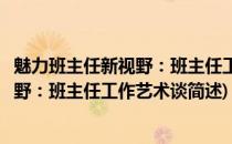 魅力班主任新视野：班主任工作艺术谈(关于魅力班主任新视野：班主任工作艺术谈简述)