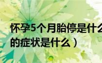 怀孕5个月胎停是什么原因（怀孕五个月胎停的症状是什么）