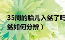 35周的胎儿入盆了吗（怀孕35周胎儿是否入盆如何分辨）