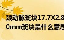 颈动脉斑块17.7X2.8严重吗（颈动脉17.8*2.0mm斑块是什么意思）