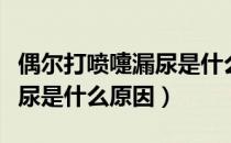 偶尔打喷嚏漏尿是什么原因（偶尔打喷嚏会漏尿是什么原因）