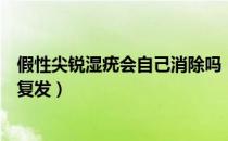 假性尖锐湿疣会自己消除吗（假性尖锐湿疣自己掉了会不会复发）