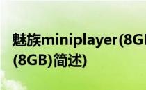 魅族miniplayer(8GB)(关于魅族miniplayer(8GB)简述)