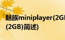 魅族miniplayer(2GB)(关于魅族miniplayer(2GB)简述)