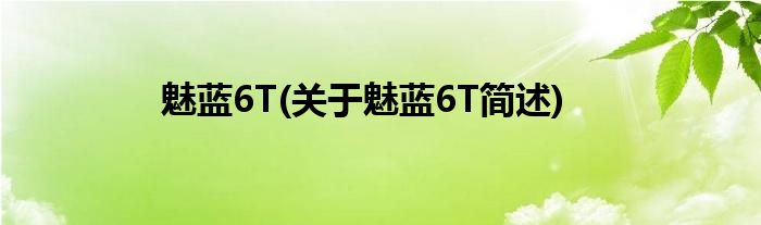 魅蓝6T(关于魅蓝6T简述)