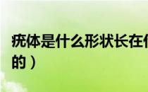 疣体是什么形状长在什么部位（疣体是什么样的）