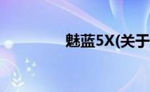 魅蓝5X(关于魅蓝5X简述)