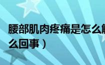 腰部肌肉疼痛是怎么解决（腰部肌肉疼痛是怎么回事）