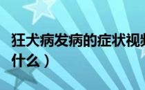 狂犬病发病的症状视频（狂犬病发病的症状是什么）